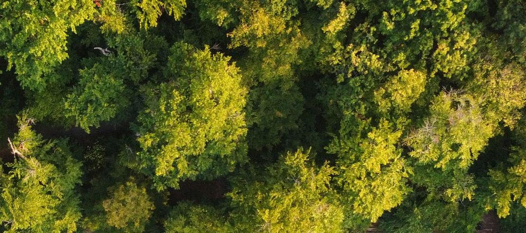Bando sull’EFFICIENZA ENERGETICA e le FONTI RINNOVABILI nella Regione Piemonte